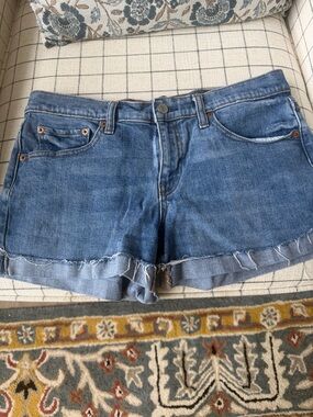 Gap Blue Denim Cutoff Shorts